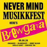(A Very Punk) Musikkfest Vol. 2