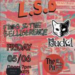 L.S.D, Hudol and Frog and the Belligerence 