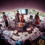 Drawing Basses @ Kunstendag voor Kinderen, Schouwburg 't Schaliken, Herentals