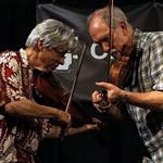 Traverse presents Bruce Molsky & Darol Anger