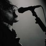 Agonal Gasps supporting the Chameleons