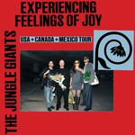 Experiencing Feelings of Joy Tour - Brooklyn