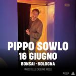 Pippo Sowlo - BOnsai