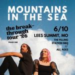 Bibles & BBQ Night with Mountains in the Sea