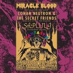 Fantastic Shows: Miracle Blood, Conan Neutron & the Secret Friends, and Sapling at THCC