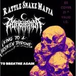 4th of July Show