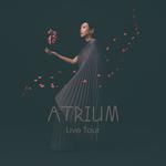 Kit Chan "Atrium" Live Tour - Chengdu