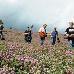 UGRAS: Strenger I Gress Bluegrass Festival 2026