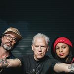 Mike Dillon and Punkadelick featuring Nikki Glapsie and Brian Haas - Dick's Den