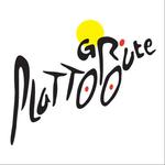 De Grute Plattoo