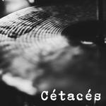 Cétacés
