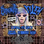 boybands and breakdowns tour
