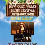 New Quay Music Festival 2026