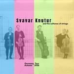 Svavar Knútur and the sultanas of strings at Bar jeder Vernunft