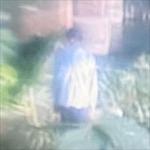 武田 鳴