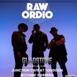 Raw Ordio at The Junction Cafe Tannum Sands