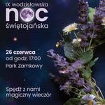 IX Wodzisławska Noc Świętojańska - koncert Dagadana