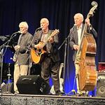 Three on a String at Dunn's Vintage Gardens