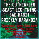 Punx in the Woods FunRaiser Show
