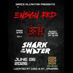 Shark In The Water @ The Bistro!!!