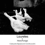 Laureles & Hora Punga en Espacio en Construcción
