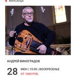 Концерт Андрея Виноградова (hurdy-gurdy)