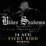 ROSS HARDING – BLUES SHADOWS BAND