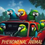 Phenomenal Animal at Nauti Parrot Oasis!