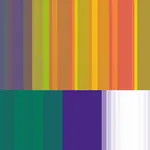 The Durutti Column