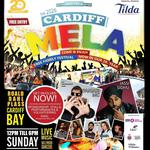 Cardiff Mela