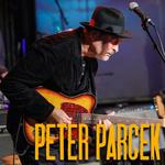 Peter Parcek Band Album Release Show Live at The Fallout Shelter