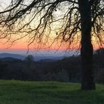 Nashville Honeymoon at Big Table Ranch