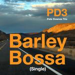 PD3 (Pete Downes Trio) Live