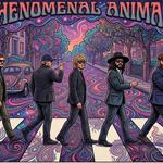 Phenomenal Animal at Dolphin Tiki!