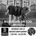 Big Boss and The Toes Unplugged! at Broken Earth Winery
