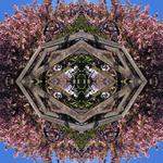 Otherworld 2026