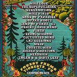 Roots in the Forest
