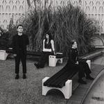 The Hausplants