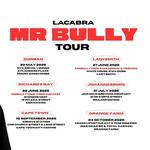 MR BULLY TOUR