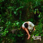 MADRE SELVA 