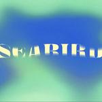 Seabird x BBE Music Summer Takeover