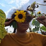 Sunflower Summit