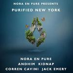 Purified New York 2026