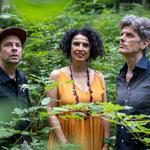 Bossarenova Trio