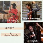 Niigata Jazz Street 2026