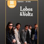 Simplesmente voltz