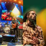 Ziggy Marley & Gov't Mule