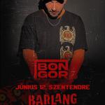 bongor // Szentendre, Barlang