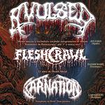 Avulsed + Carnation + Fleshcrawl