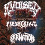 Avulsed + Carnation + Fleshcrawl